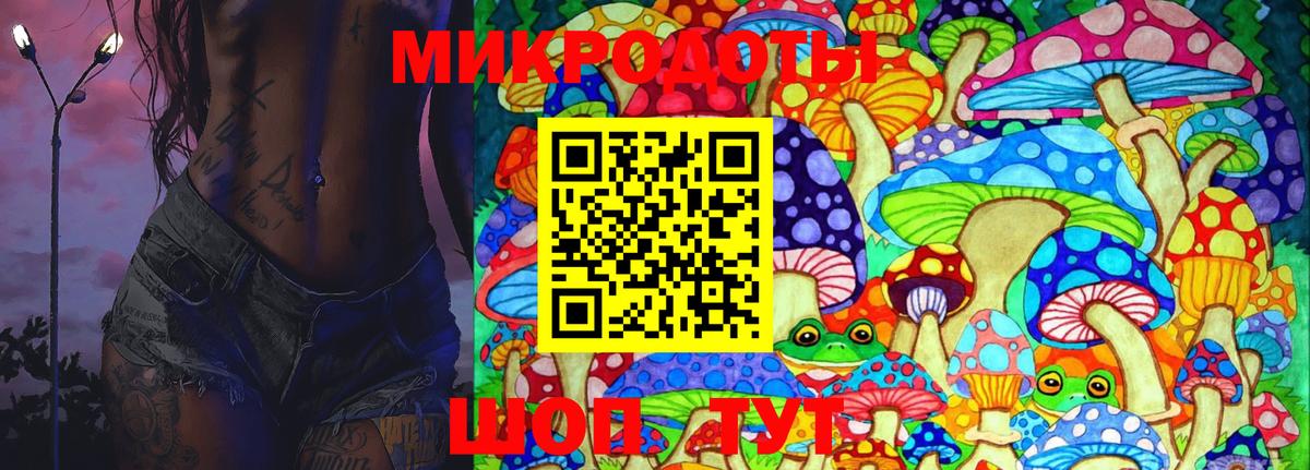 купить наркотик  Вход с VPN  Галлюциногенные грибы MAGIC MUSHROOMS  Еманжелинск  Галлюциногенные грибы GOLDEN TEACHER 